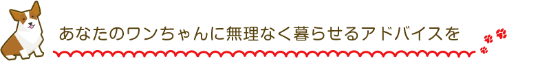 あなたのワンちゃんに無理なく暮らせるアドバイスを