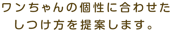 ワンちゃんの個性に合わせたしつけ方を提案します。