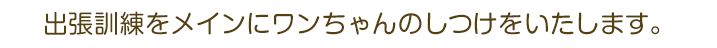 出張訓練をメインにワンちゃんのしつけをいたします。